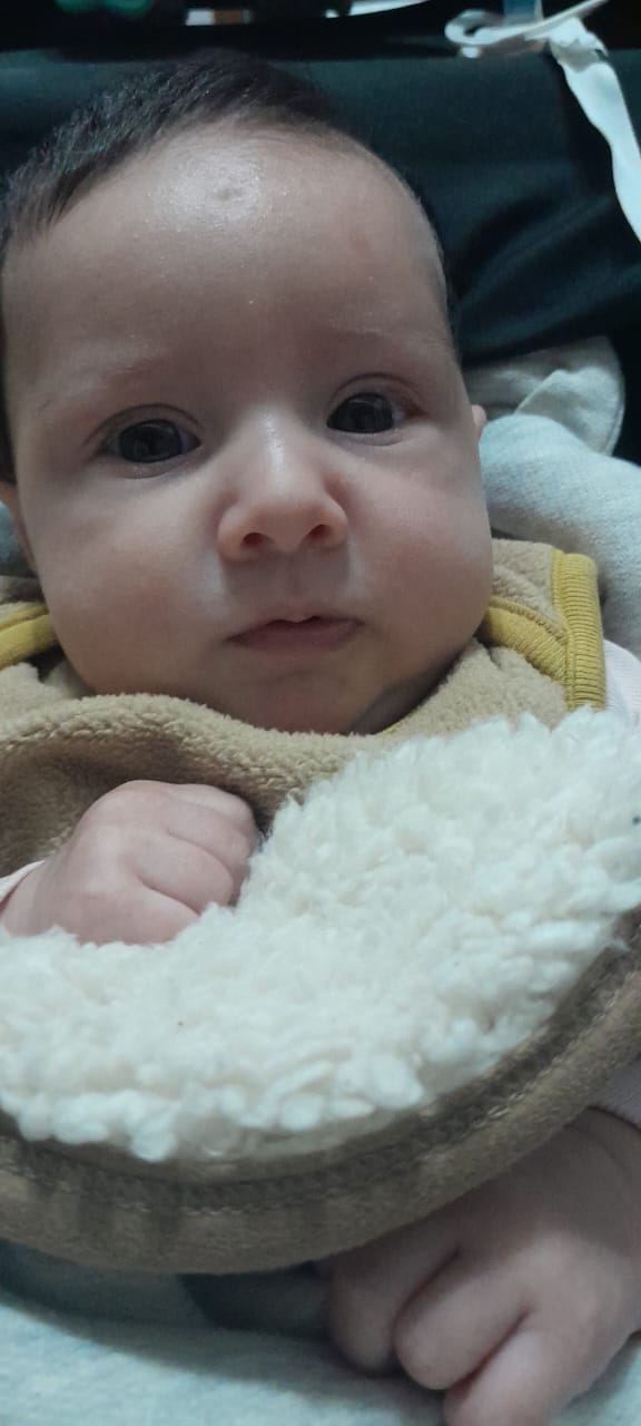 WhatsApp Image 2024-10-17 at 10.018.49.jpeg